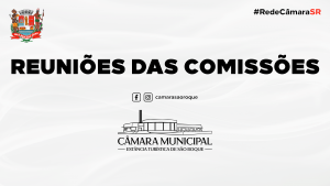 Reunião Extraordinária das Comissões de 06 de agosto de 2024